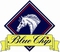 Blue Chip Pony Newcomers Second Rounds Start at Weston Lawns Equitation